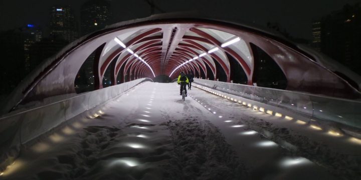 November Newsletter is here!